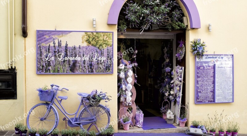 Flower Shop Flowers House Lavender Purple