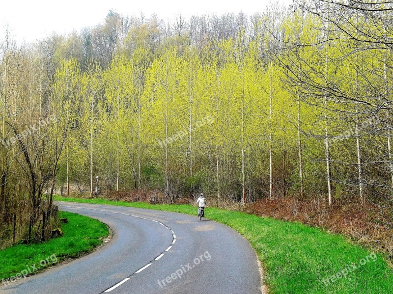 Transport Bicycle Trees Road Sports