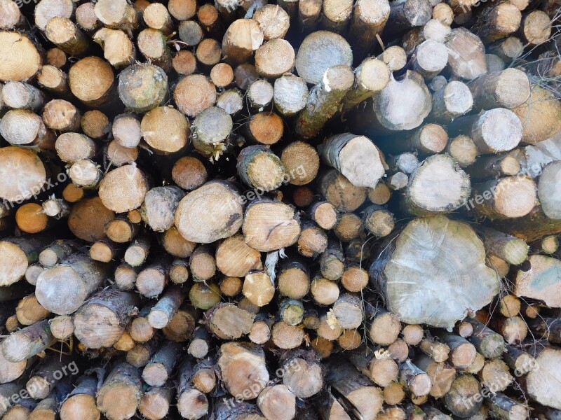 Log Tree Lumber Wood Industry