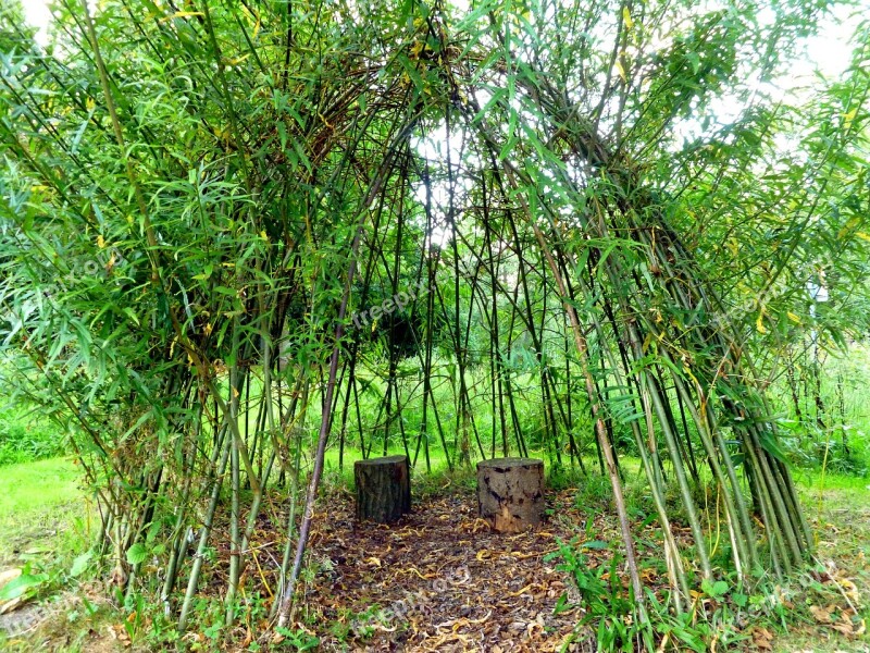 Favorite Place Woven Nature Tent Branches