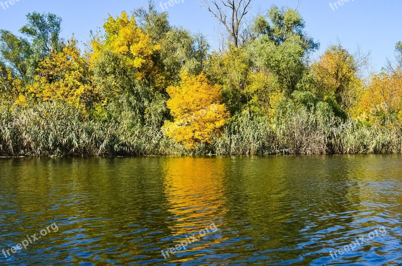 Autumn Dnieper Nature River Free Photos