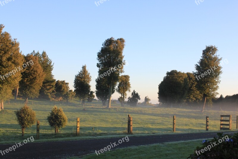 Country Paddock Trees Rural Farm