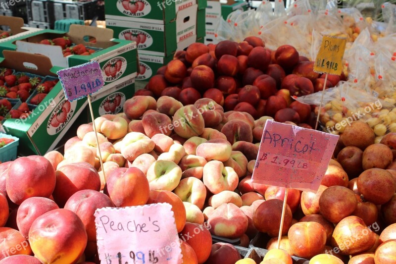 Peaches Apricots Plums Nectarines Strawberries