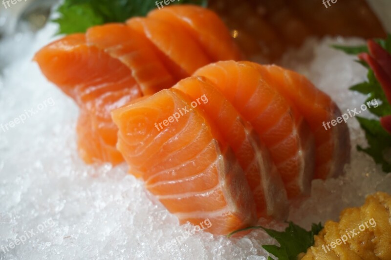 Salmon Ice Fish And Meat Free Photos