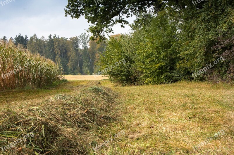 Nature Hay Tree Autumn Landscape Landscape