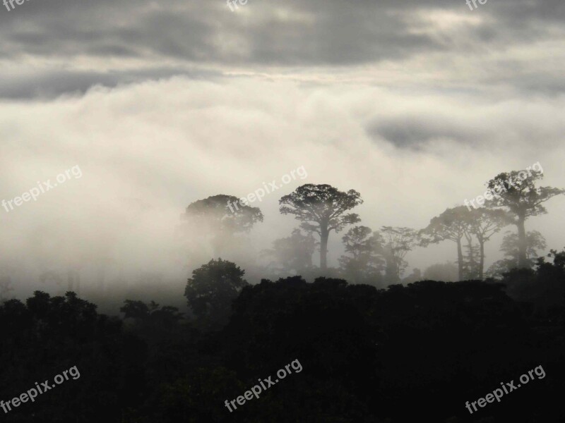 Niebla Morning Colombia Landscape Free Photos