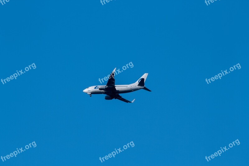 Utair Aviation Utair Plane Large In The Air