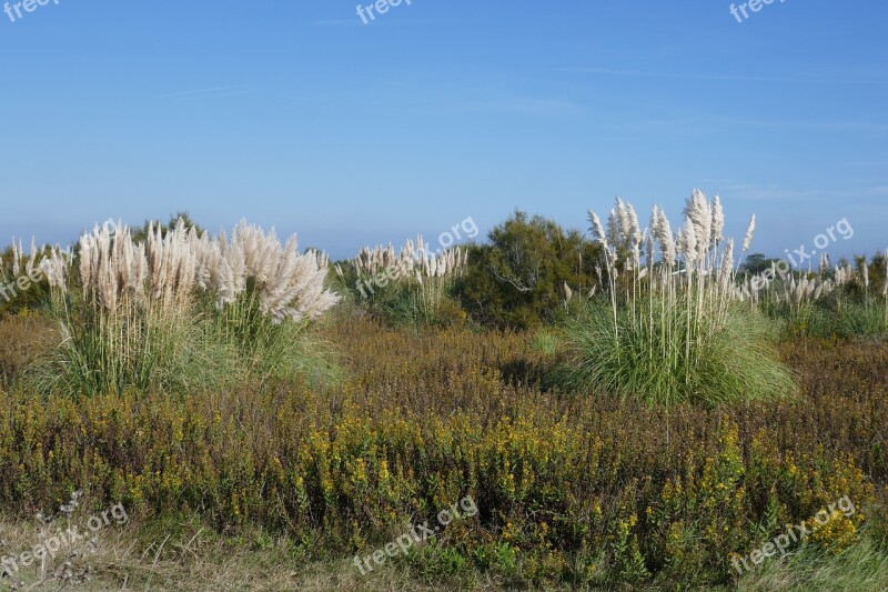 Murtosa Portugal Nature Landscape Outdoor