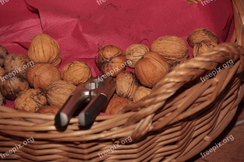 Walnut Basket Walnuts In The Basket Nutcracker Autumn