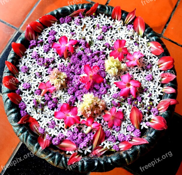 Flower Rangoli Water Celebration Indian