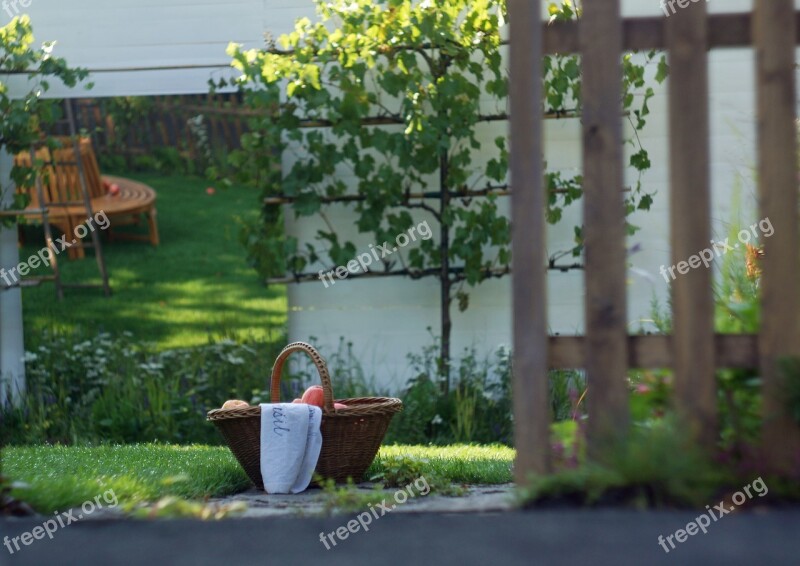 Garden Corner Fruit Grass Fence