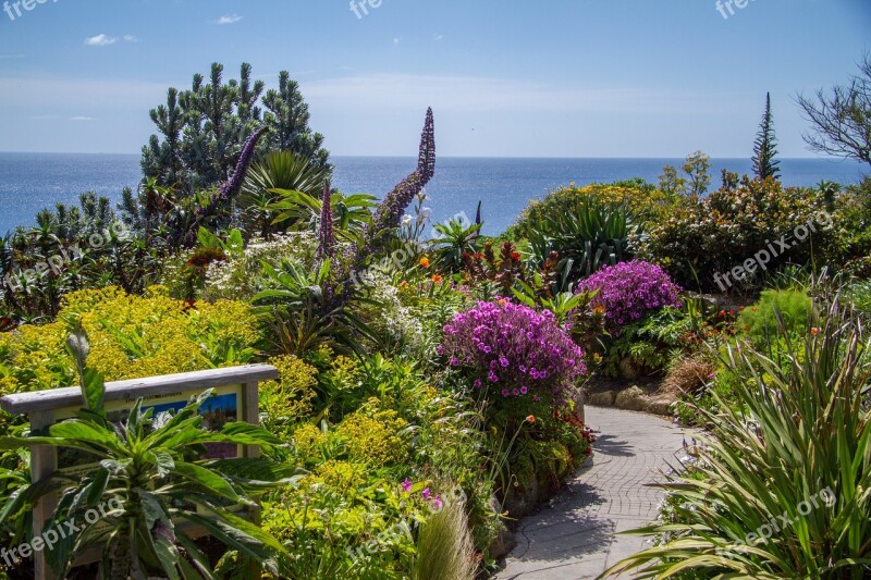 Minack Theater Cornwall South Gland Free Photos