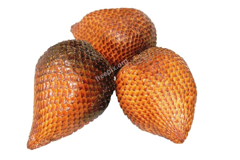 Snake Fruit Food Tropical Free Photos