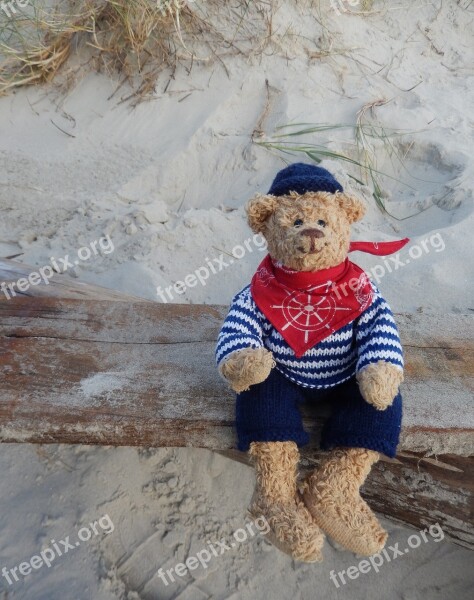 Teddy Teddy Bear Toys Stuffed Animal Plush