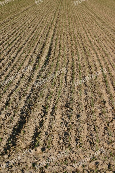 Arable Farmland Rut Furrow Cultivation Agriculture