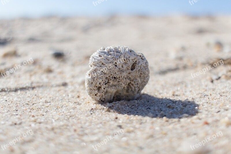 Beach Sand Nature Rock White Sand