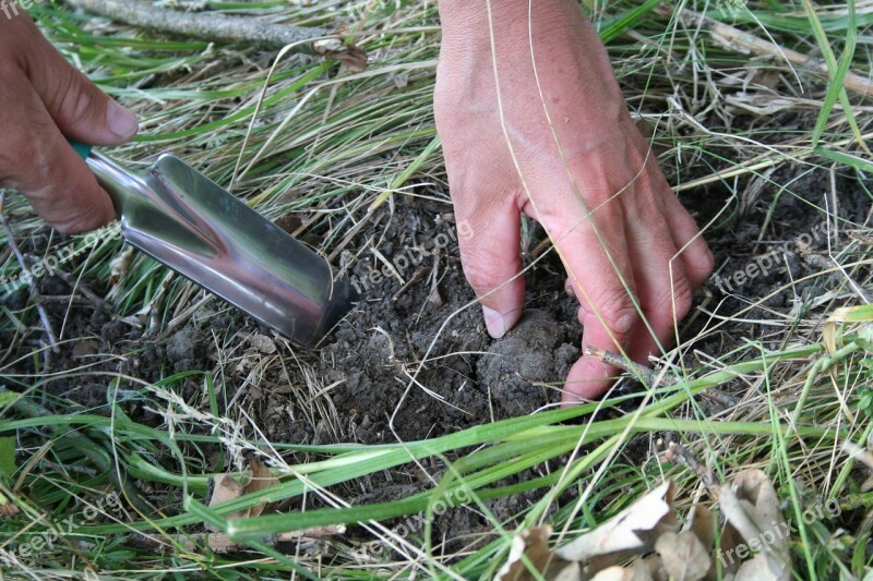 Truffles Search Truffle Soil Paddle