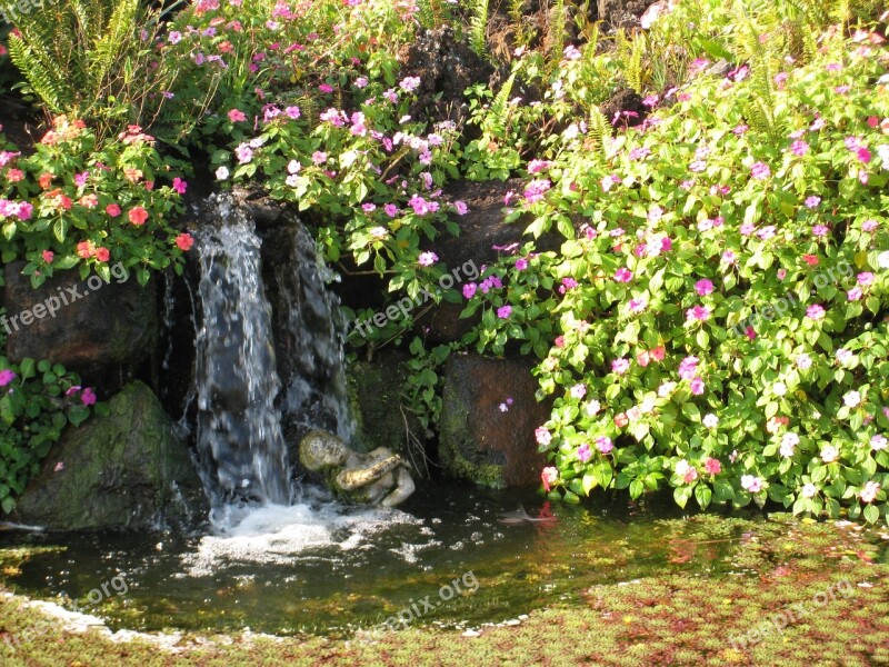 Waterfall Pond Nature Landscape Garden