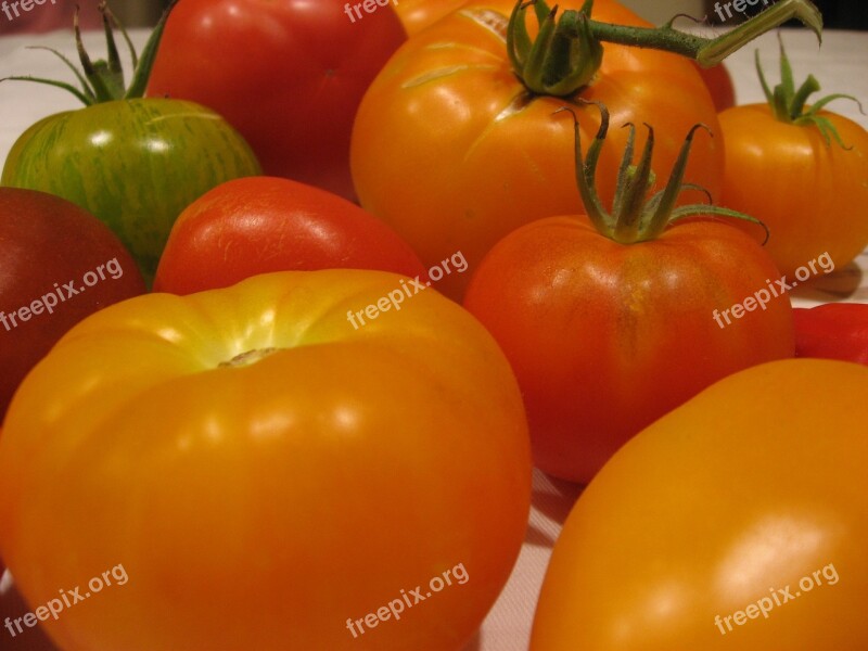 Tomatoes Varieties Diversity Orange Green