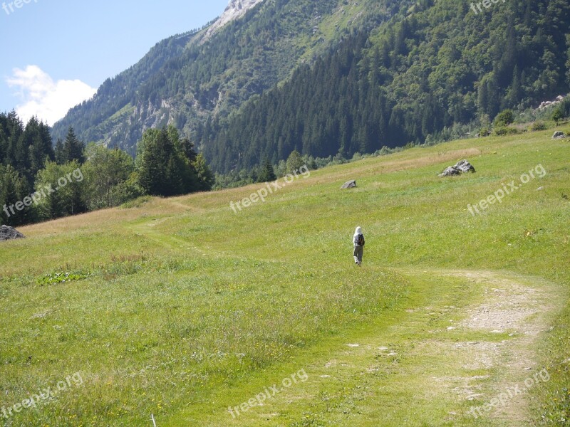 Path Meadow Landscape Nature Green