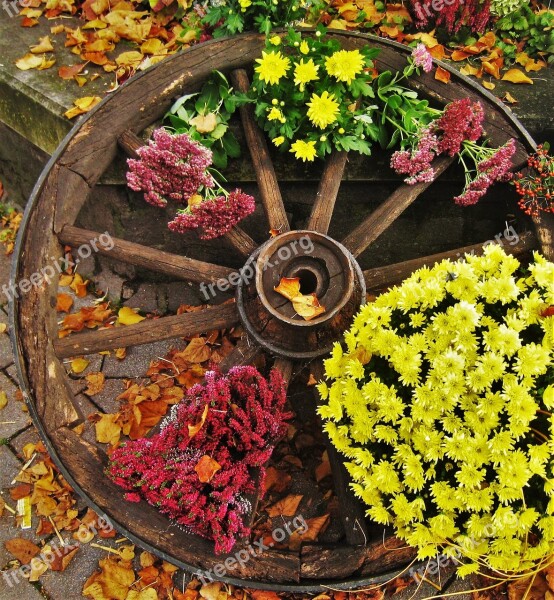 Old Wagon Wheel Herbstdeko Farmer's Market Autumn Plant