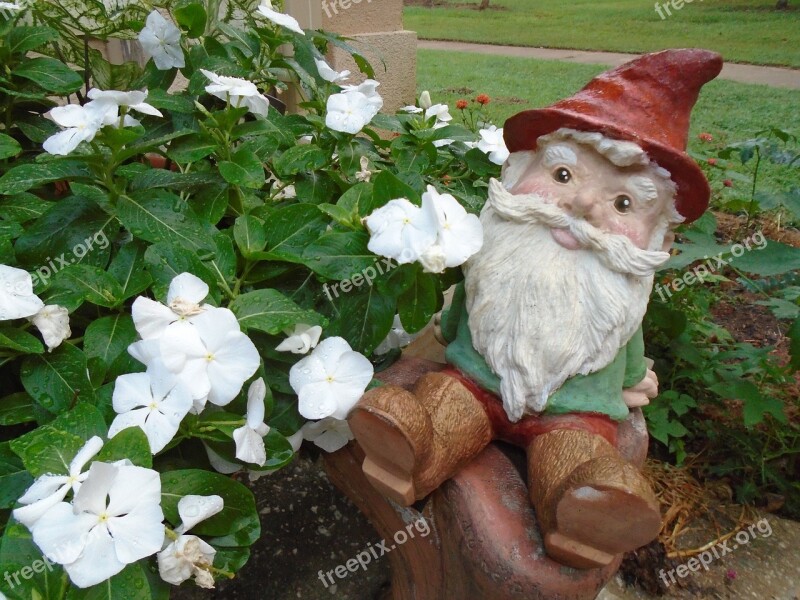 Gnome Flowers Garden Plant Nature