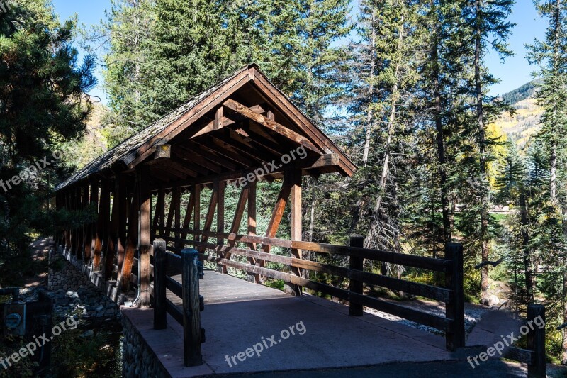 Covered Bridge Nature Landscape Forest Trees