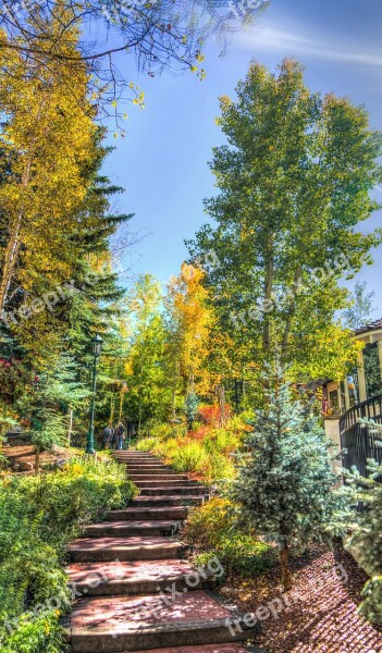 Vail Colorado Autumn Fall Path