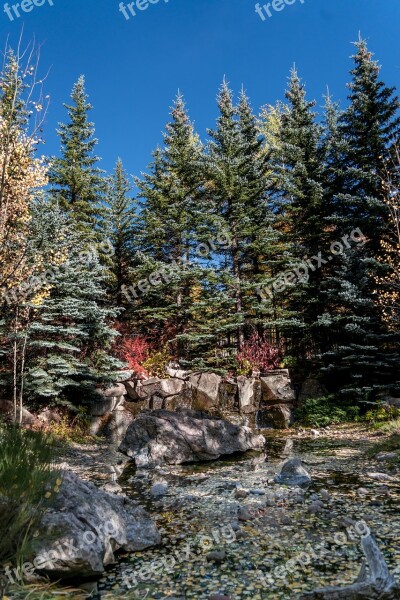 Vail Colorado Autumn Foliage Nature