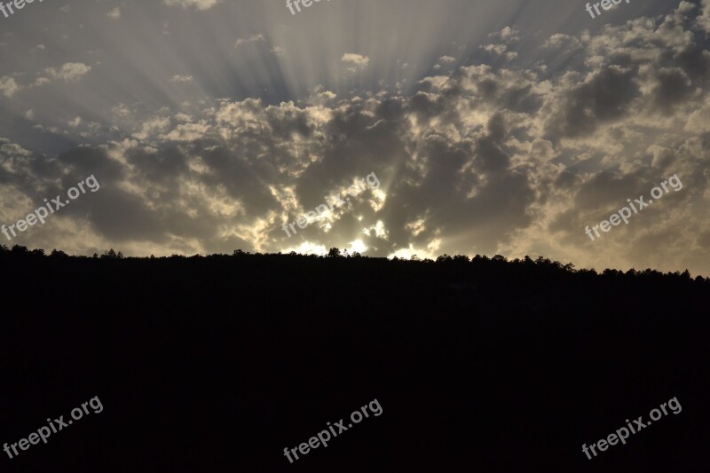 Fern Sky Rays The Light Of The Sun Sunset