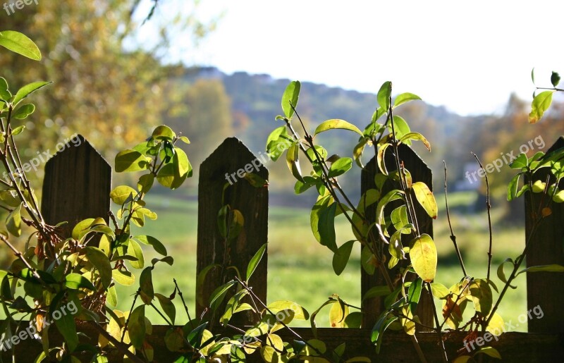 Garden Fence Fence Autumn Landscape Green