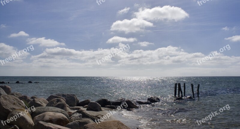 Natural Water Summer Landscape Water Edge