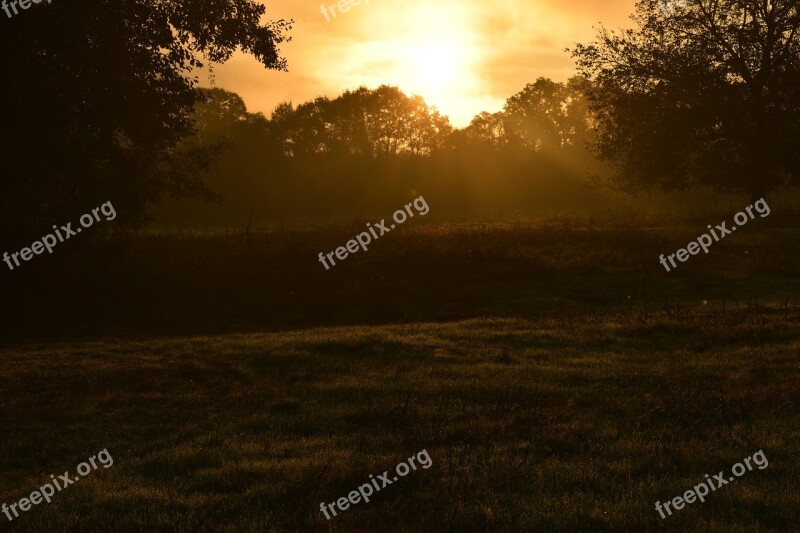 Bulgaria Sunrise Mountain Timber Forest