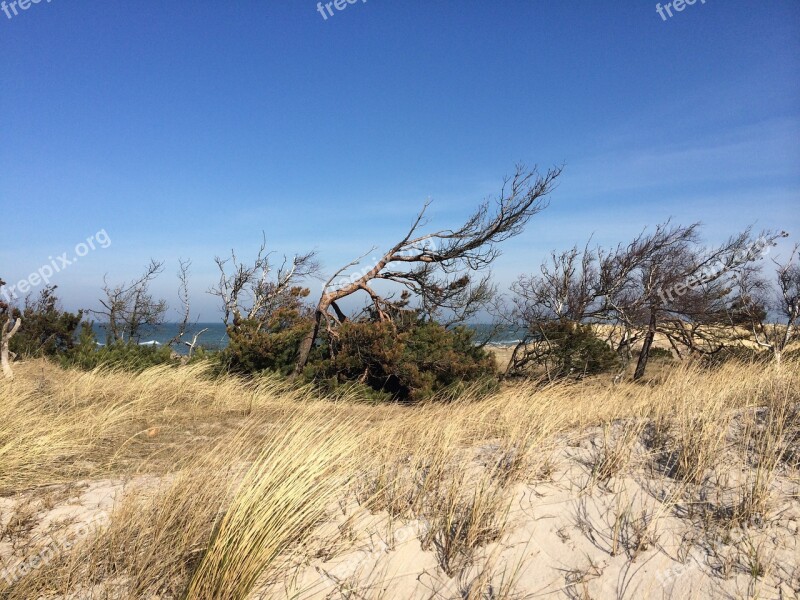 Dune Beach Baltic Sea Sea Sand