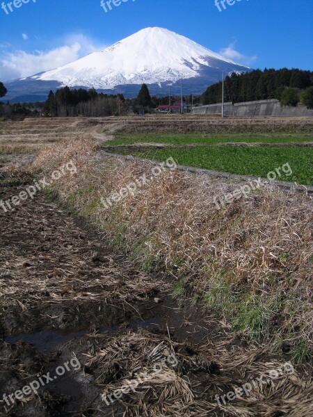 Mt Fuji Field Winter Snow Blue Sky