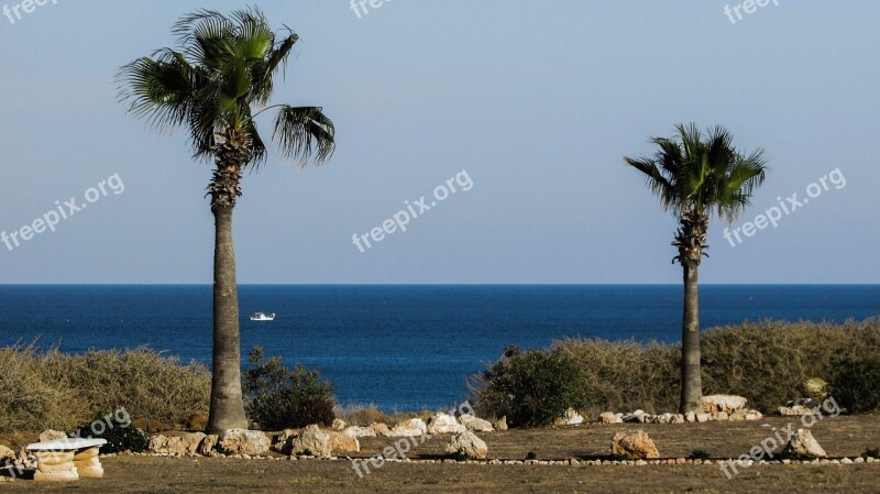 Garden Palm Trees Property Sea View Horizon