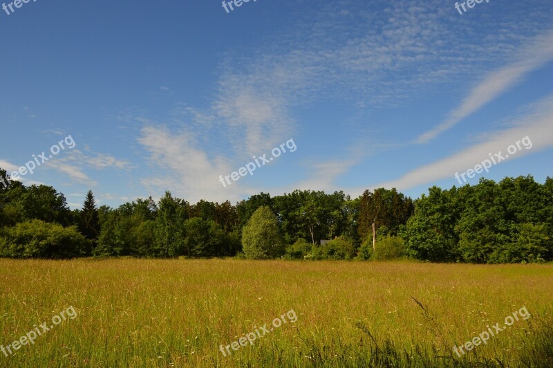 Meadow Forest Clouds Sky Blue