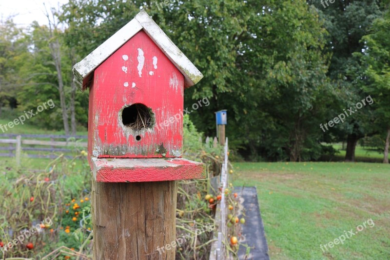 Bird House Red Nature Birdhouse