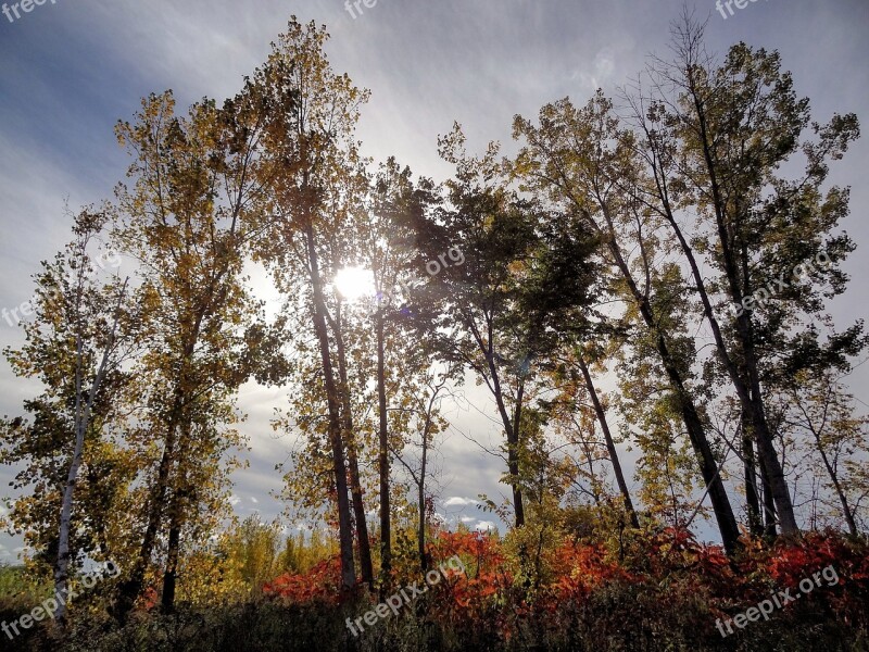 Sunrays Color Sun Light Outdoor