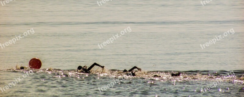 Swimming Competition Swim Sport Open Sea Race