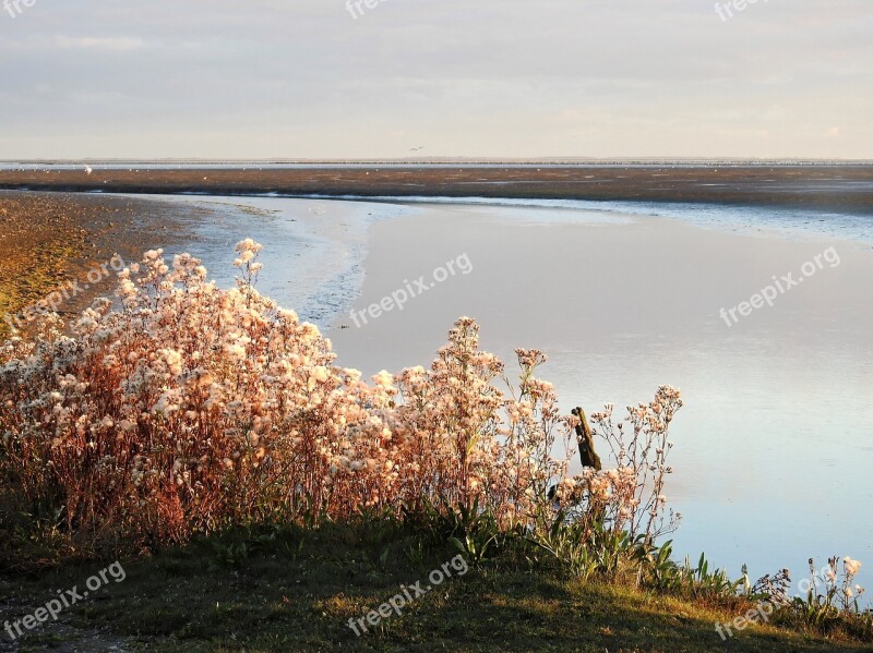 Landscape Nature Water Watts Cotton More