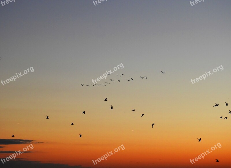 Sunrise Sunset North Sea Netherlands Background