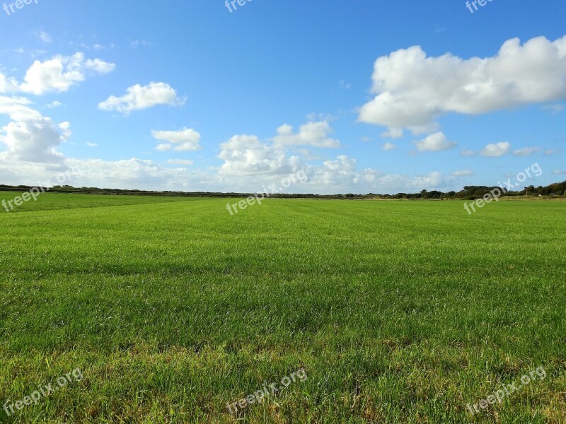 Meadow Sky Cloud Grass Landscape