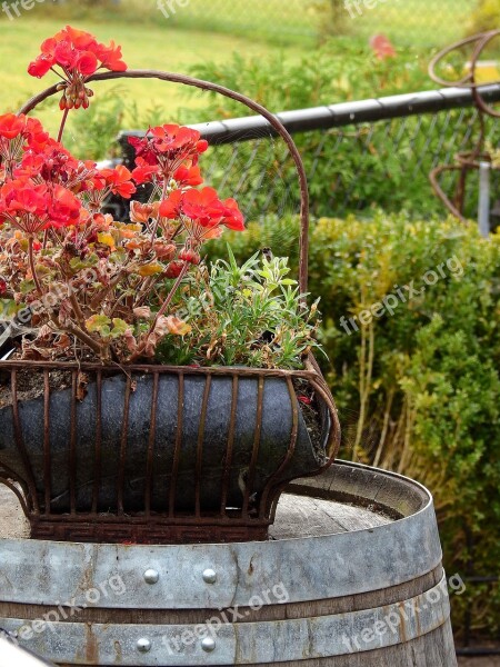 Barrel Wooden Barrels Flower Blossom Bloom