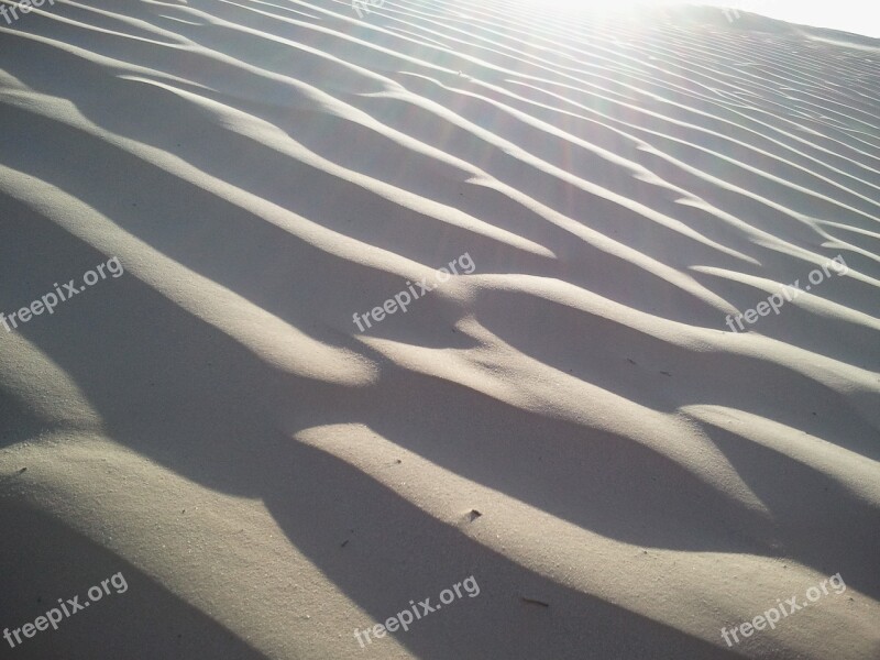 Desert Sahara Sand White Light