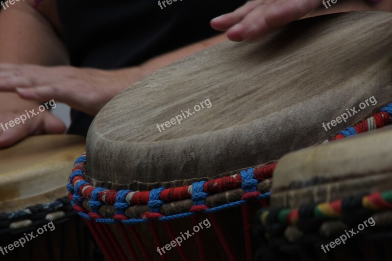 Drum Music Rhythm Djembe Musician