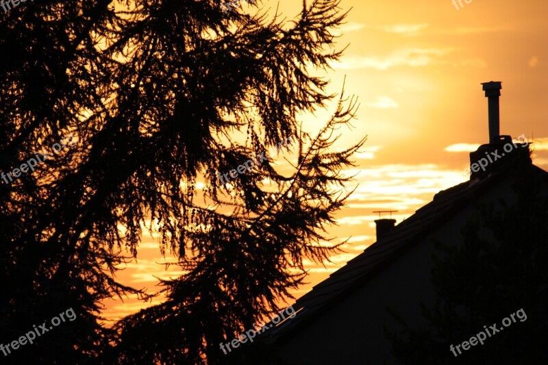 Recklinghausen Abendstimmung Sun Roof Tree