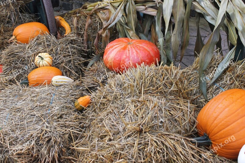 Halloween Decoration Pumpkins Straw Autumn Decoration