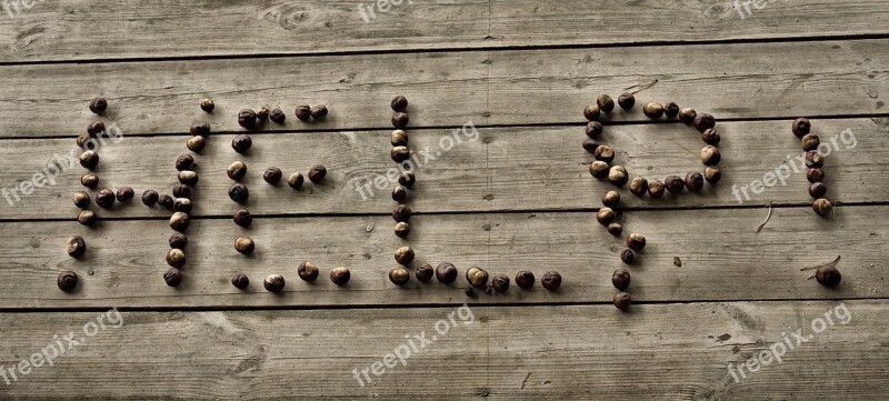 The Inscription Floor Chestnuts Free Photos