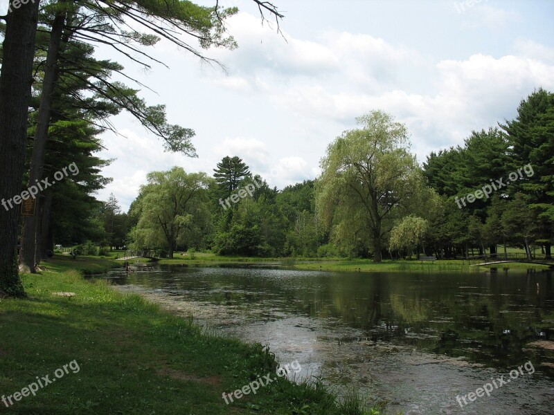 Small Green Pond Landscape Park Waterscape Ducks Swimming